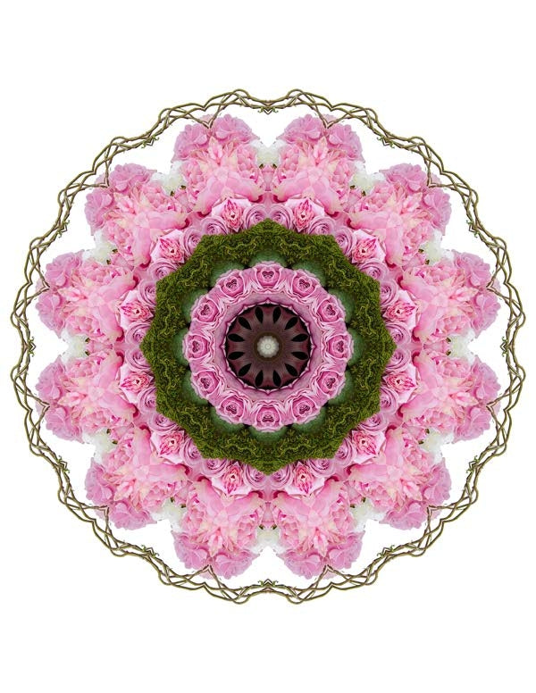 Open Flora - Fractalis 10