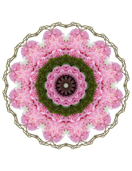 Open Flora - Fractalis 10