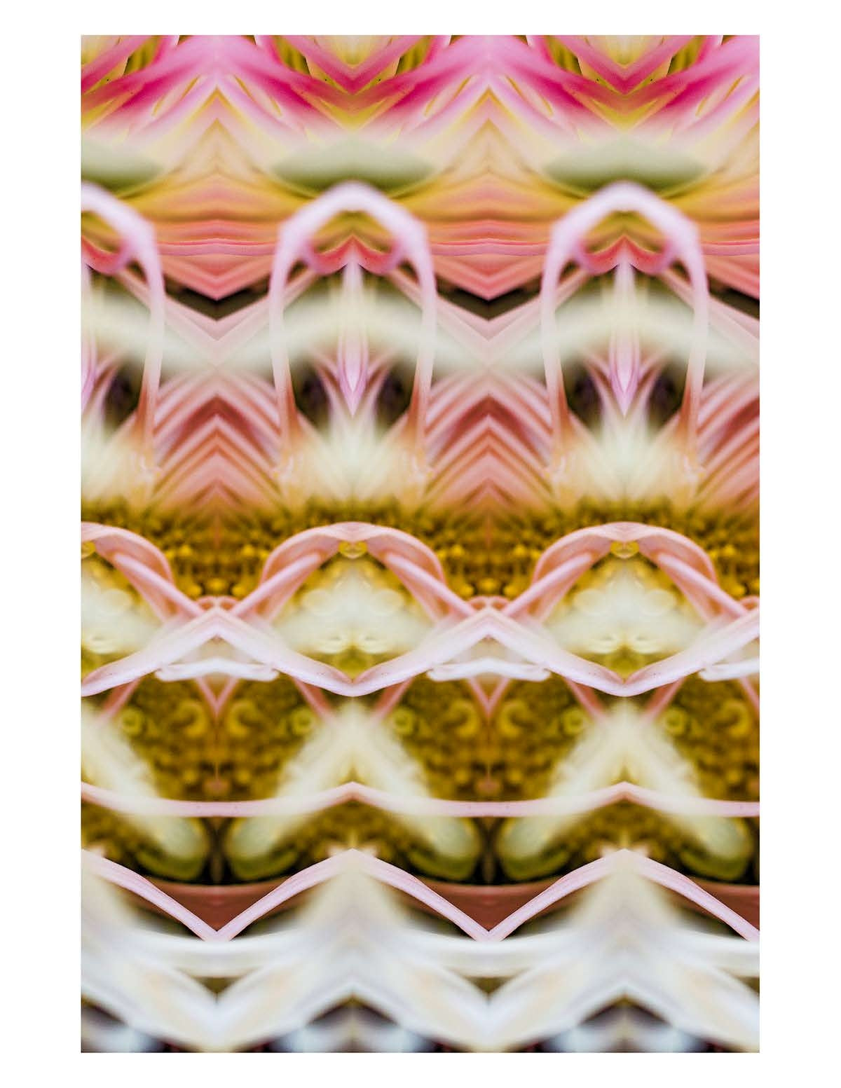 Organic Abstract 12