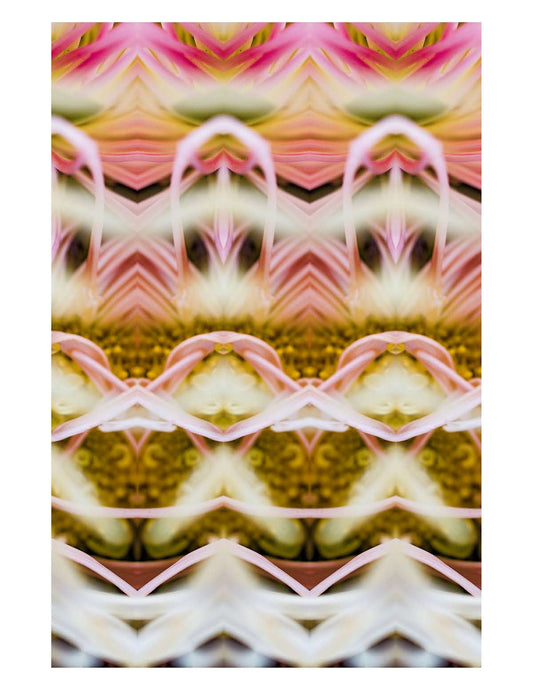 Organic Abstract 12