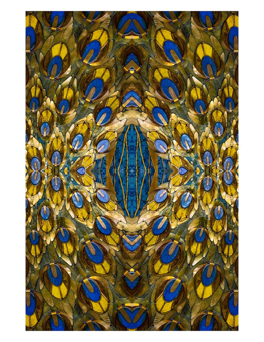 Baroque 12