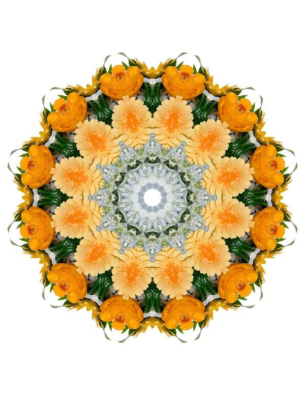 Open Flora - Fractalis 13