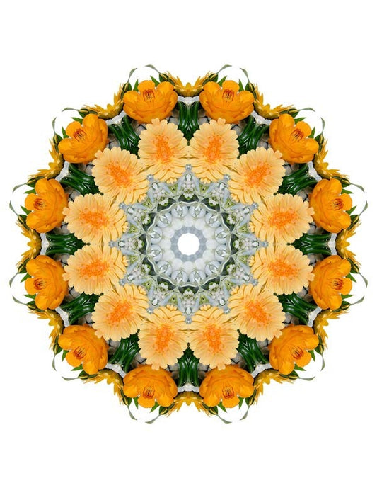 Open Flora - Fractalis 13