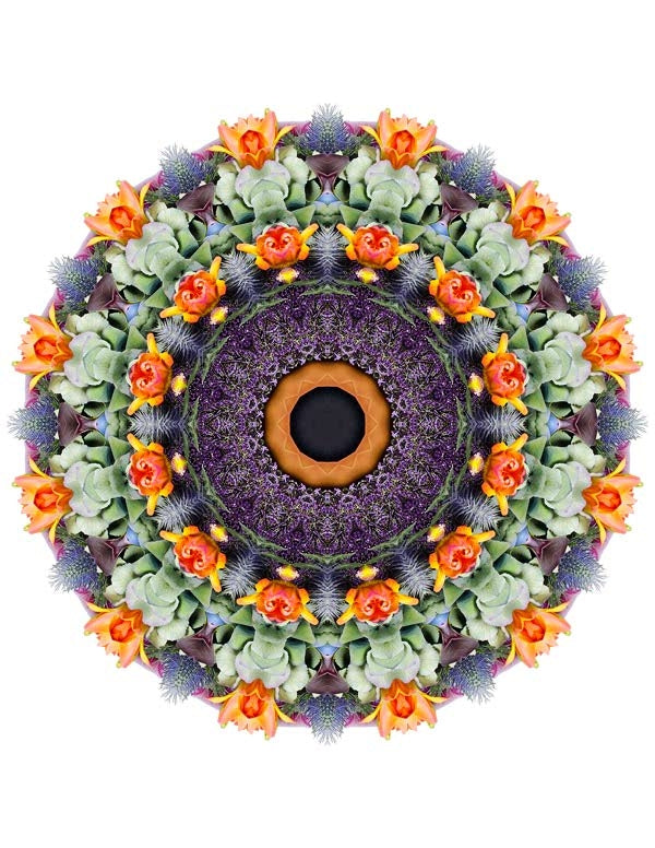 Open Flora - Fractalis 14