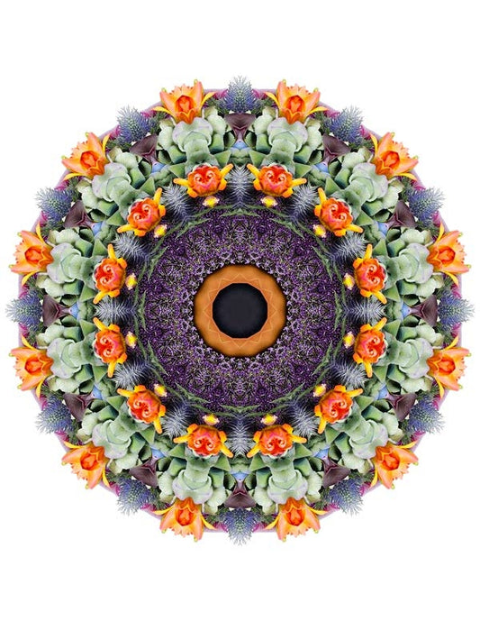 Open Flora - Fractalis 14