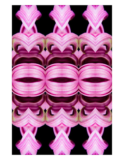 Rose Mirage