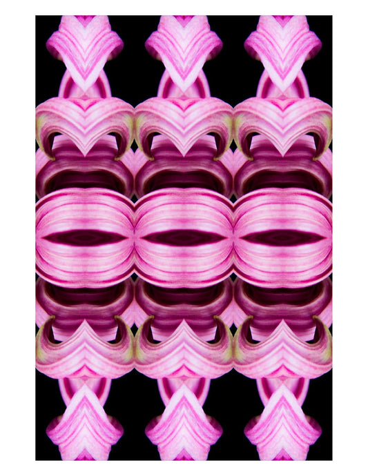 Organic Abstract 14