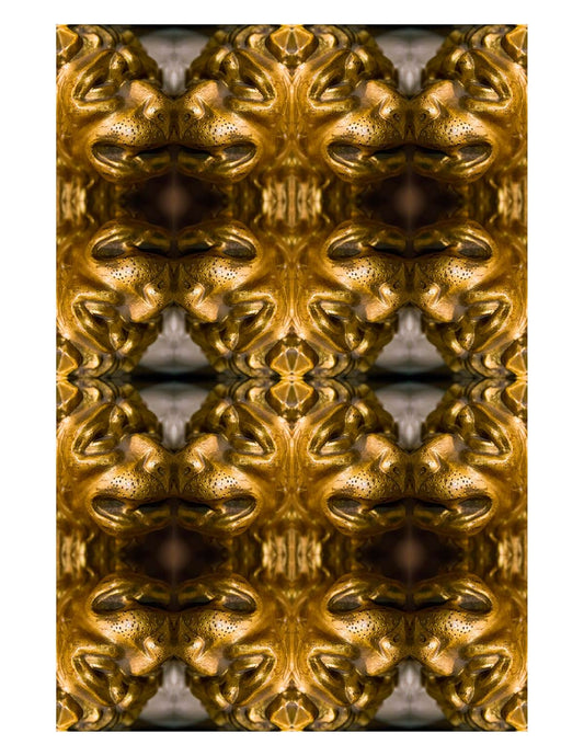 Baroque 15