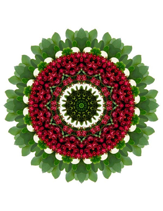 Open Flora - Fractalis 15
