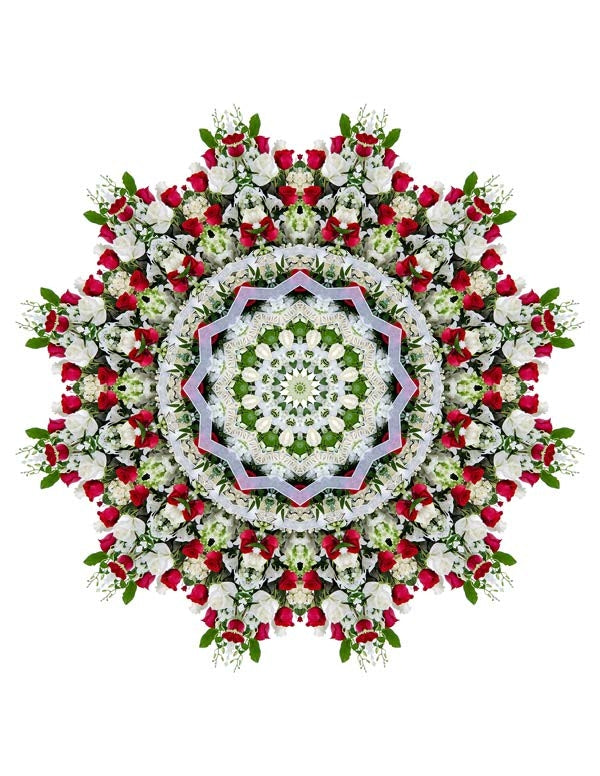 Open Flora - Fractalis 16