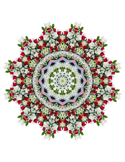 Open Flora - Fractalis 16
