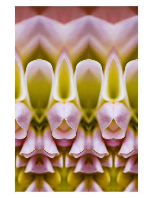 Organic Abstract 17