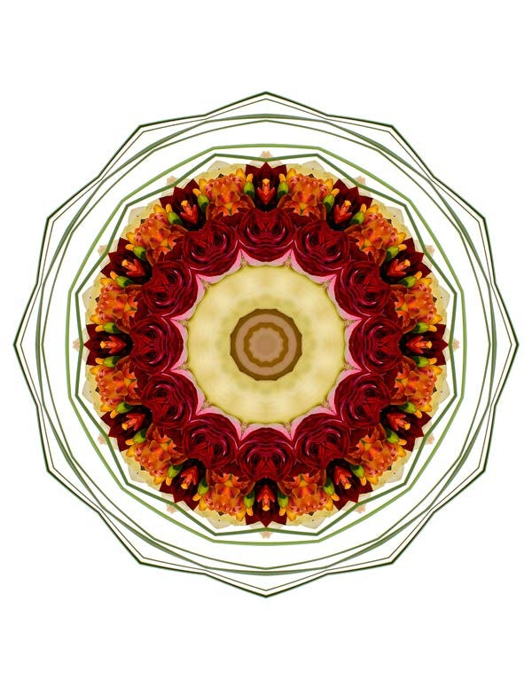 Open Flora - Fractalis 17