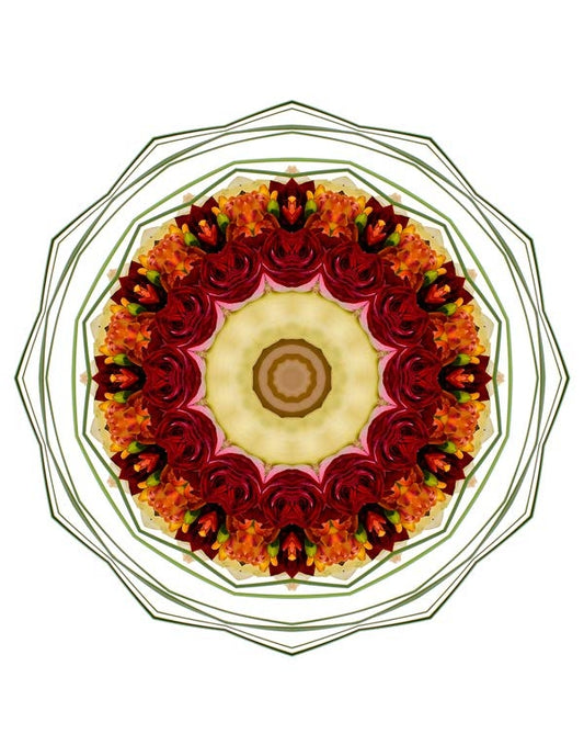 Open Flora - Fractalis 17