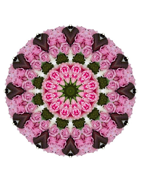 Open Flora - Fractalis 18