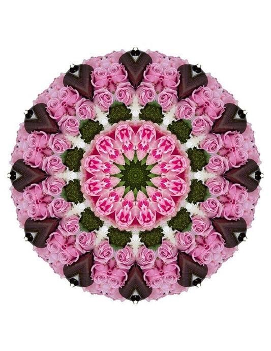 Open Flora - Fractalis 18