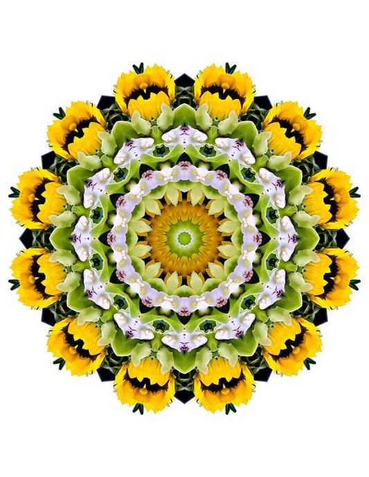 Open Flora - Fractalis 1