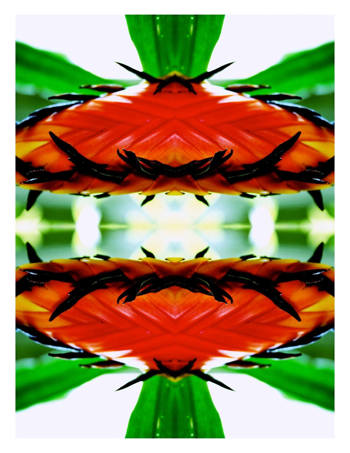 Organic Abstract 20