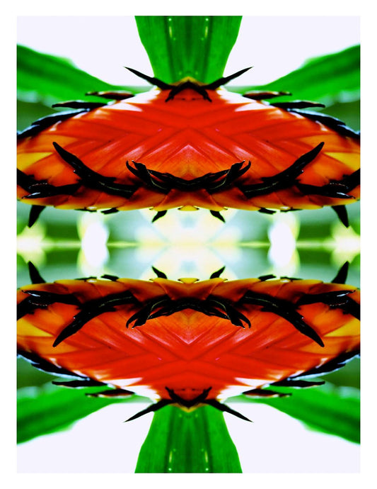 Organic Abstract 20