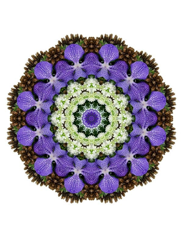 Open Flora - Fractalis 20