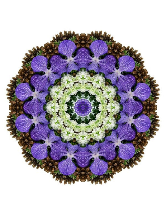 Open Flora - Fractalis 20