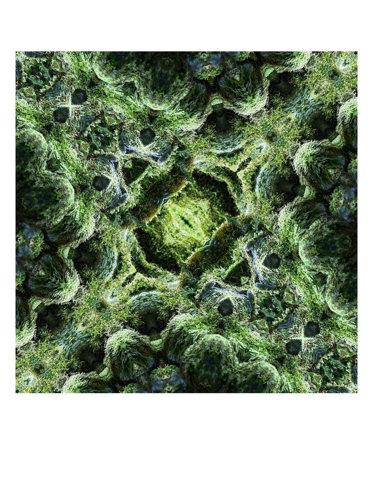 Organic Abstract 21