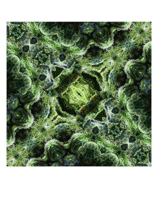 Organic Abstract 21