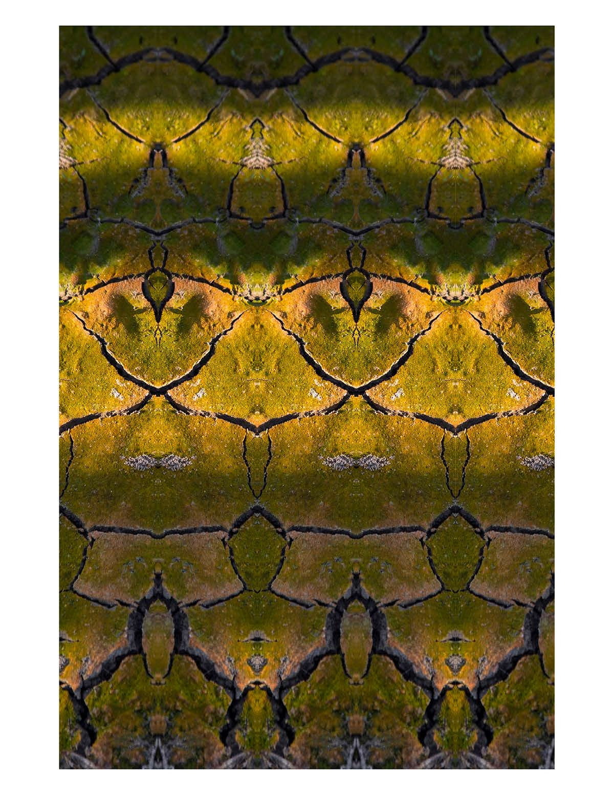 Organic Abstract 22