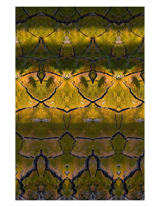 Organic Abstract 22