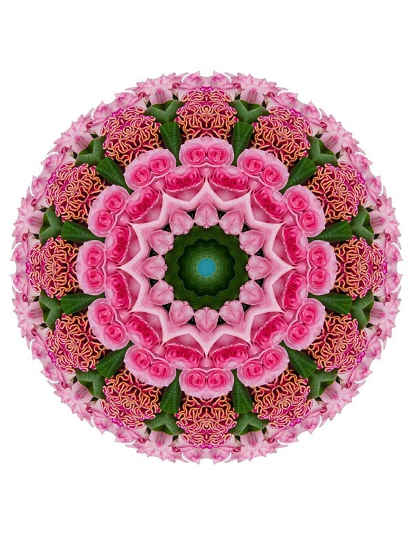 Open Flora - Fractalis 23