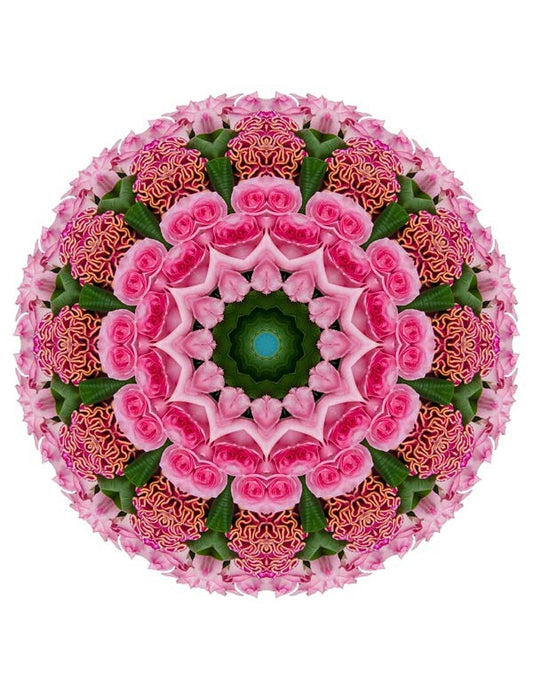 Open Flora - Fractalis 23