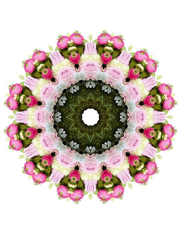 Open Flora - Fractalis 24