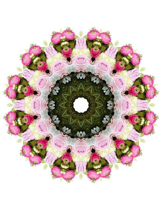 Open Flora - Fractalis 24