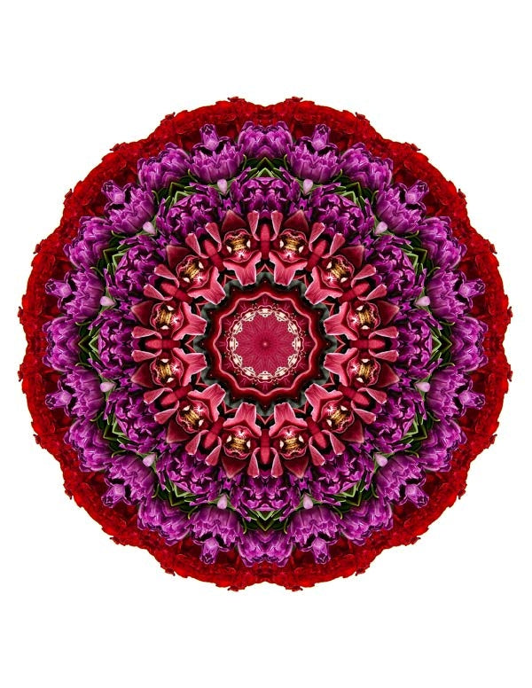 Open Flora - Fractalis 25