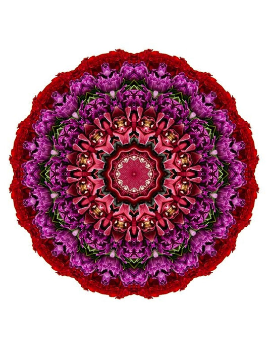 Open Flora - Fractalis 25