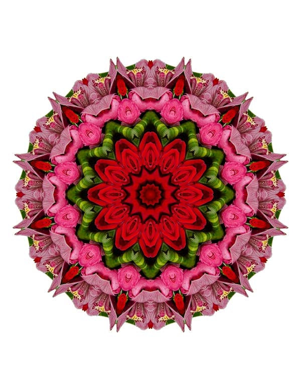 Open Flora - Fractalis 26