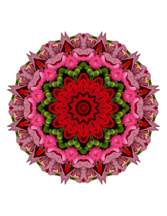 Open Flora - Fractalis 26