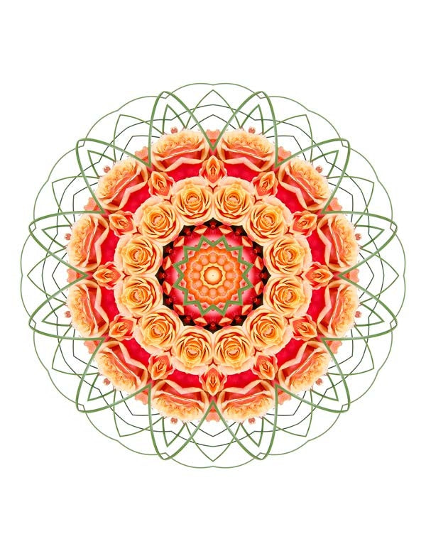 Open Flora - Fractalis 27