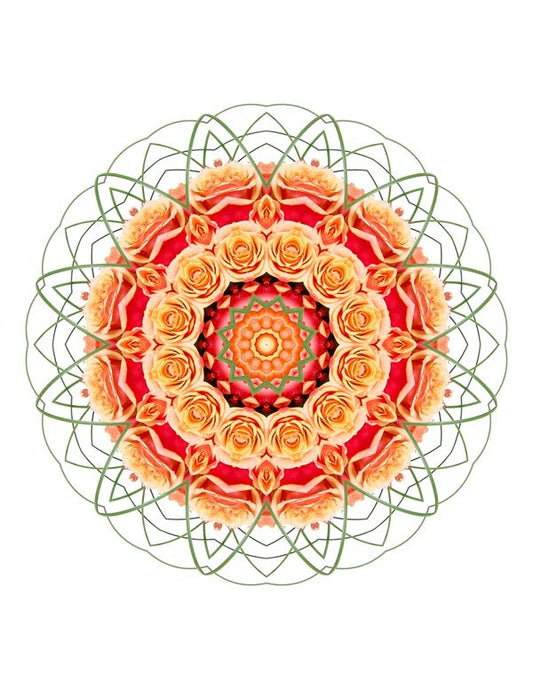 Open Flora - Fractalis 27