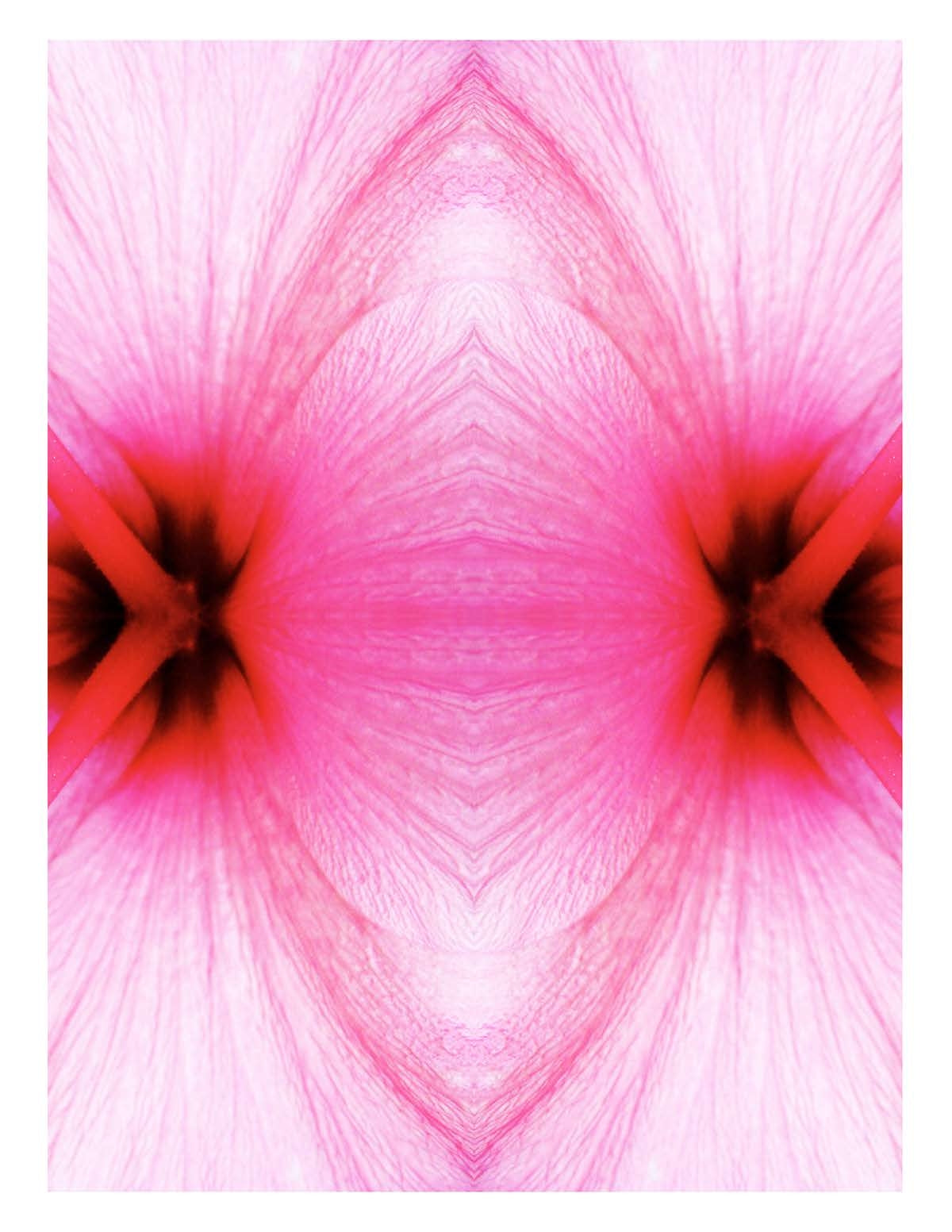 Organic Abstract 28
