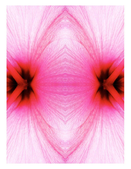 Petal Pulse