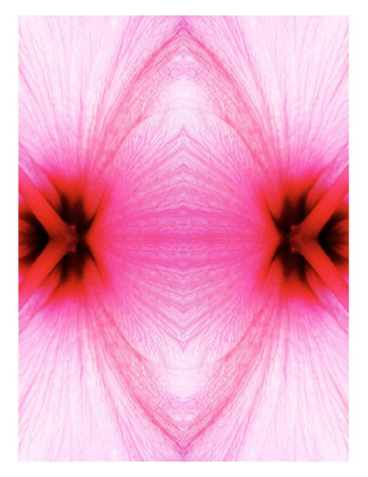 Organic Abstract 28