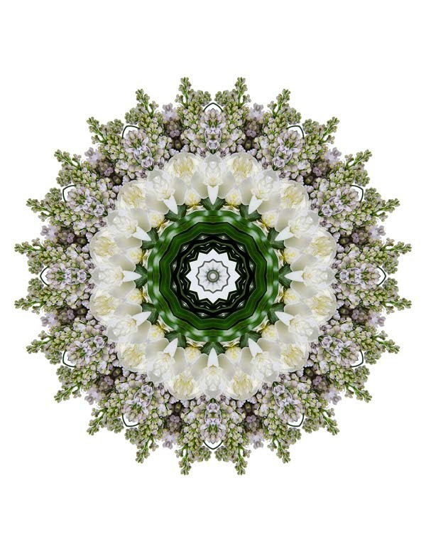 Open Flora - Fractalis 28