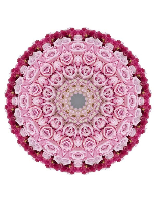 Open Flora - Fractalis 29