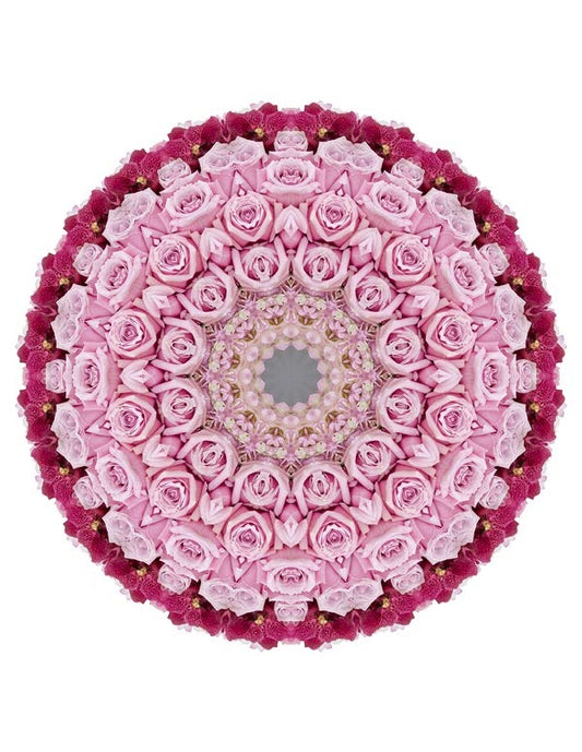 Open Flora - Fractalis 29