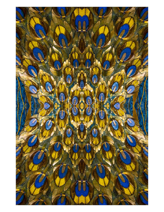 Baroque 29