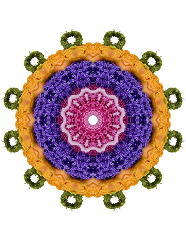 Open Flora - Fractalis 2
