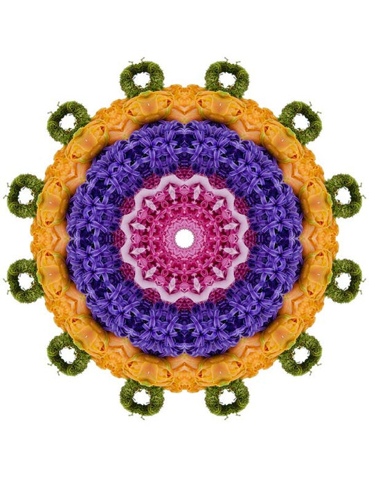 Open Flora - Fractalis 2