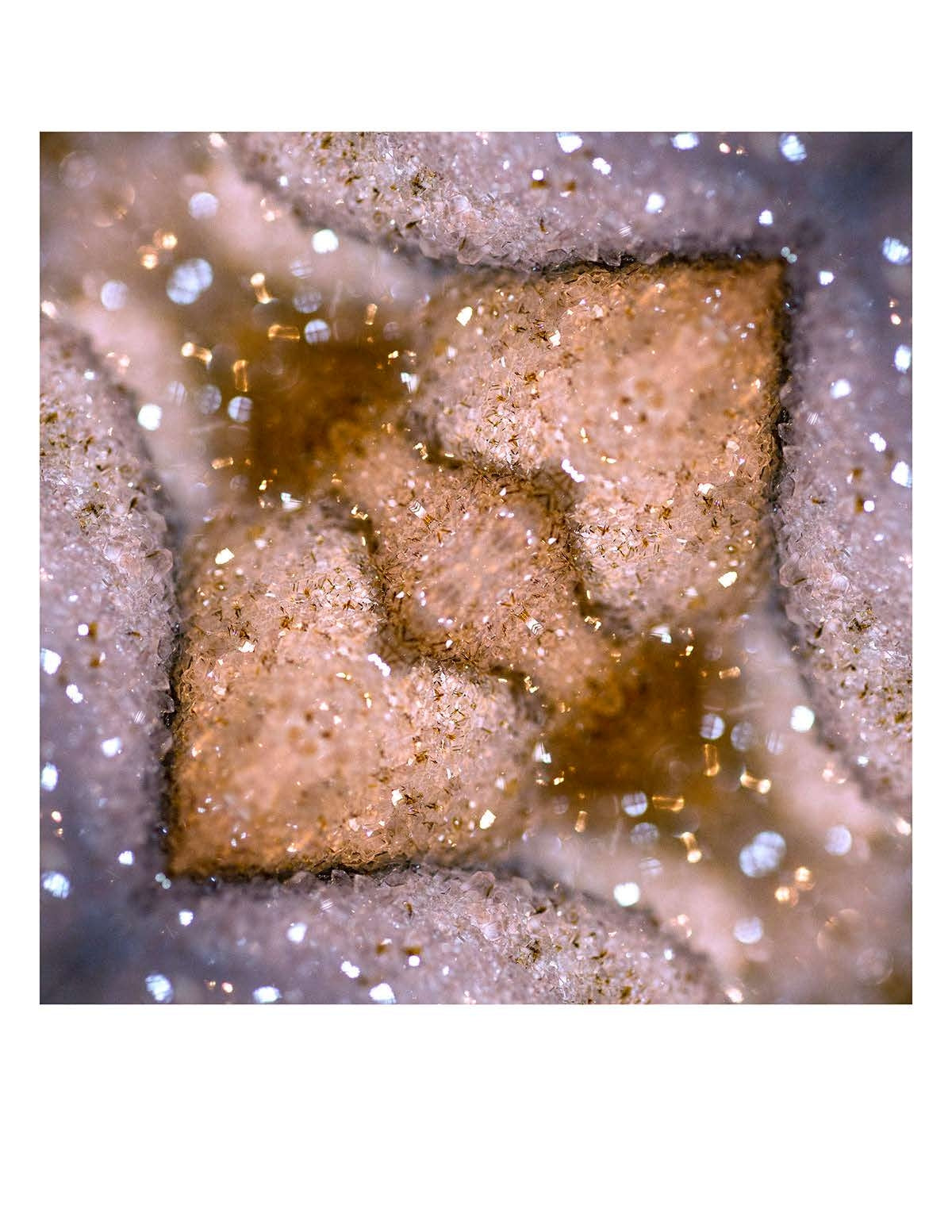 Organic Abstract 3
