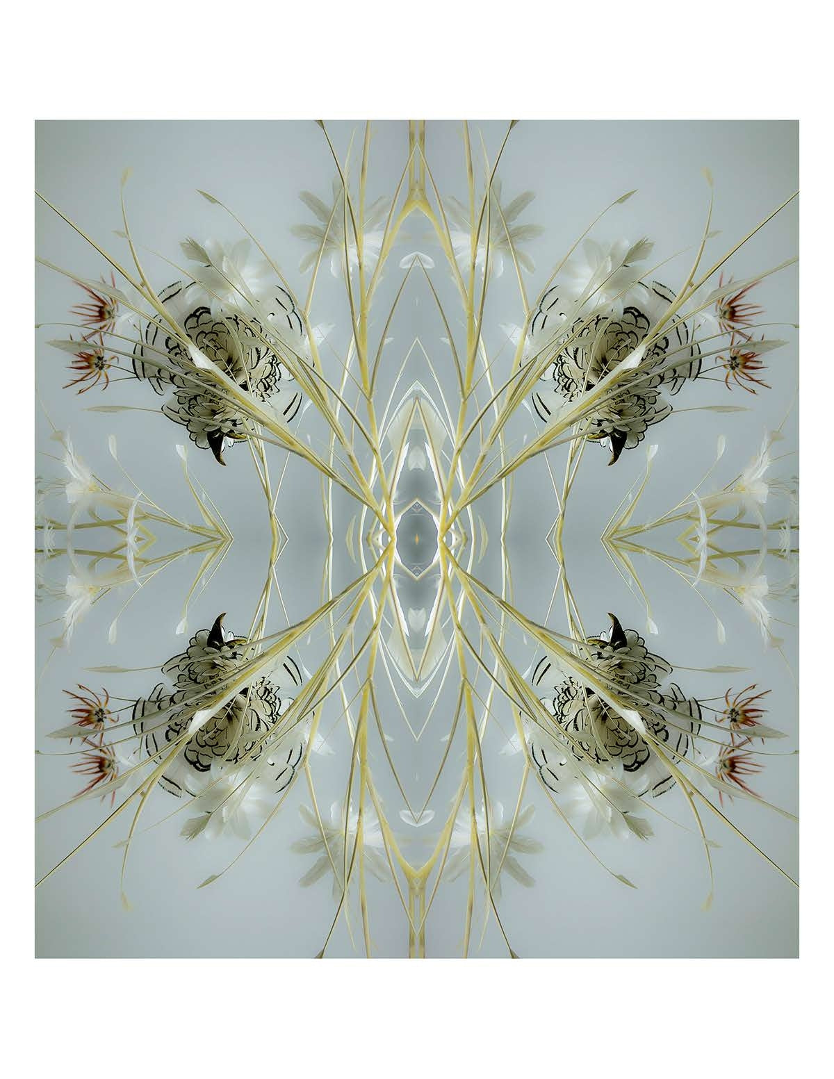Organic Abstract 30